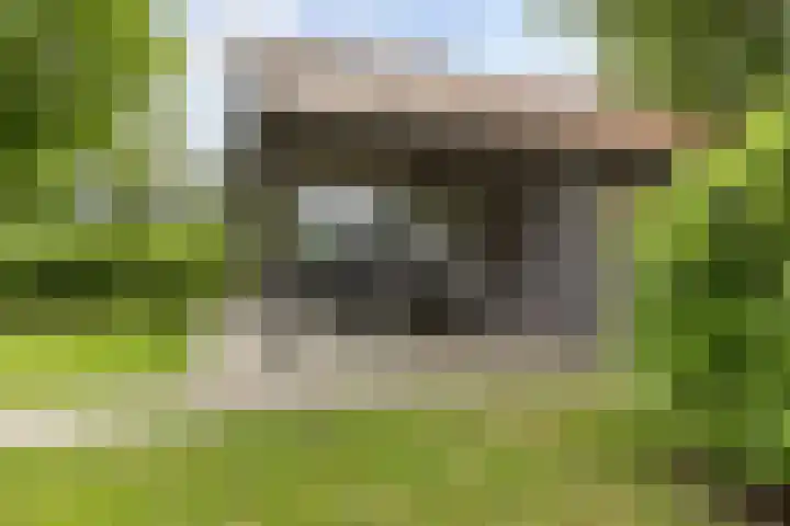 Verbindingsweg 13 Veelerveen thumbnail 33