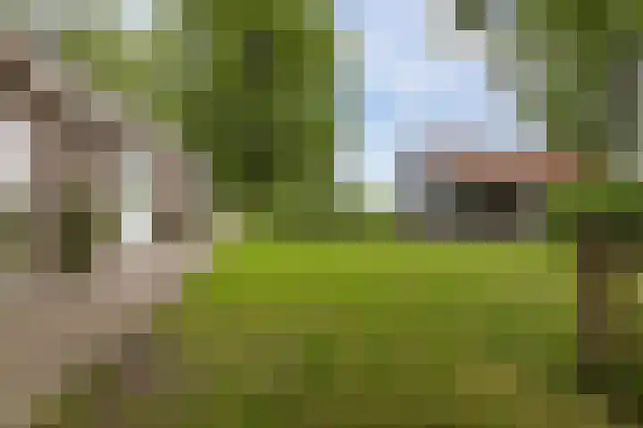 Verbindingsweg 13 Veelerveen thumbnail 34
