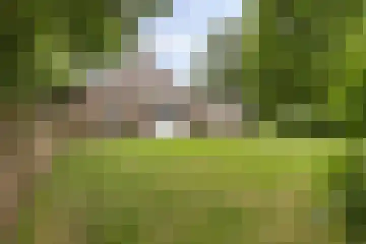 Verbindingsweg 13 Veelerveen thumbnail 35