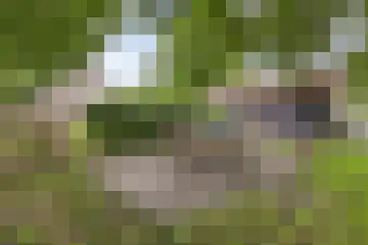 Verbindingsweg 13 Veelerveen thumbnail 36