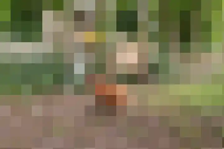 Verbindingsweg 13 Veelerveen thumbnail 37
