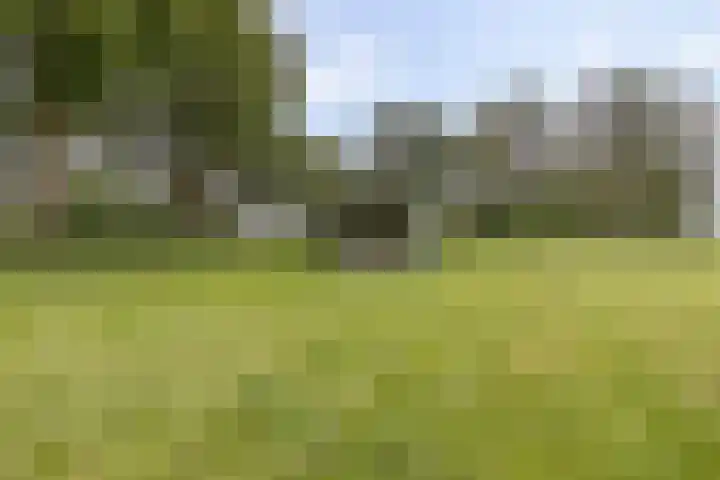 Verbindingsweg 13 Veelerveen thumbnail 38