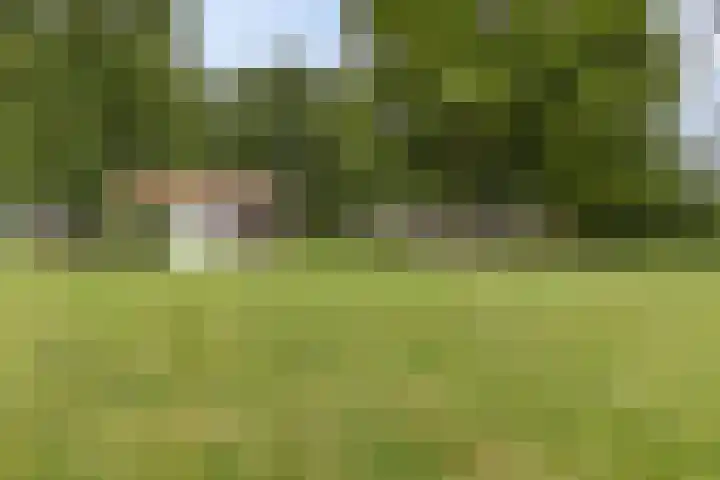 Verbindingsweg 13 Veelerveen thumbnail 39