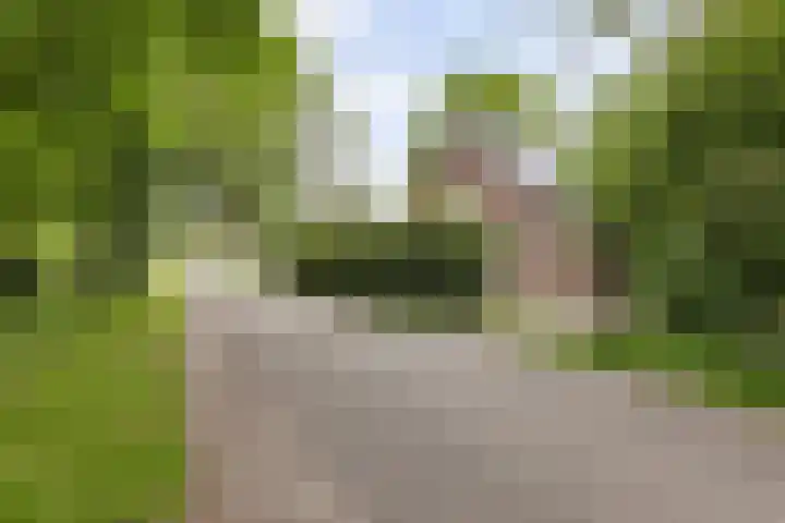 Verbindingsweg 13 Veelerveen thumbnail 4