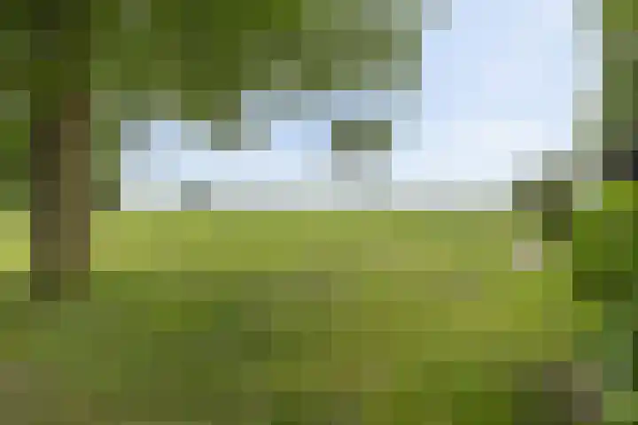 Verbindingsweg 13 Veelerveen thumbnail 40