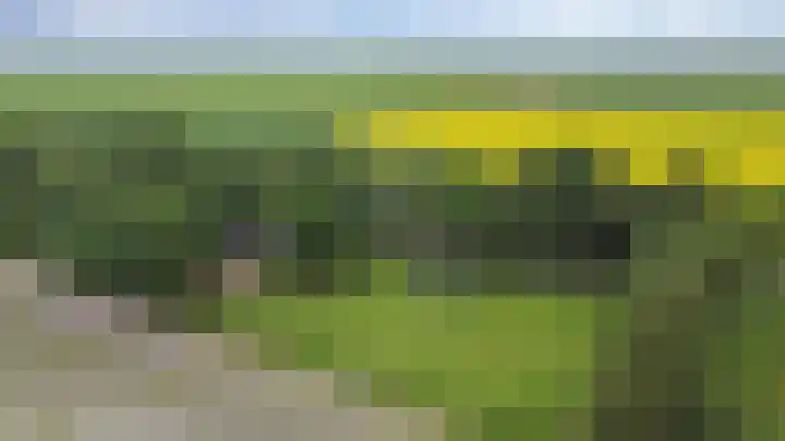 Verbindingsweg 13 Veelerveen thumbnail 41