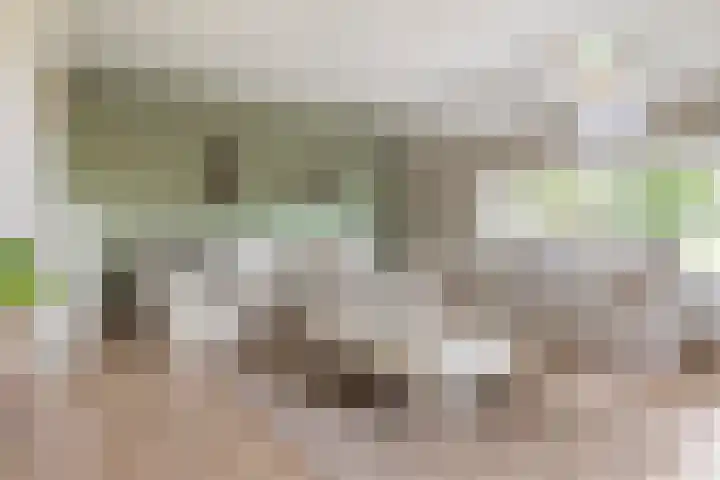 Verbindingsweg 13 Veelerveen thumbnail 9