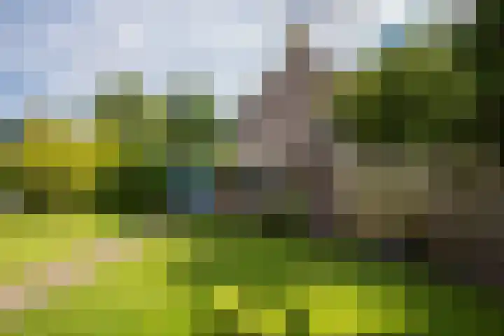 Verbindingsweg 14 Wieringerwerf thumbnail 26