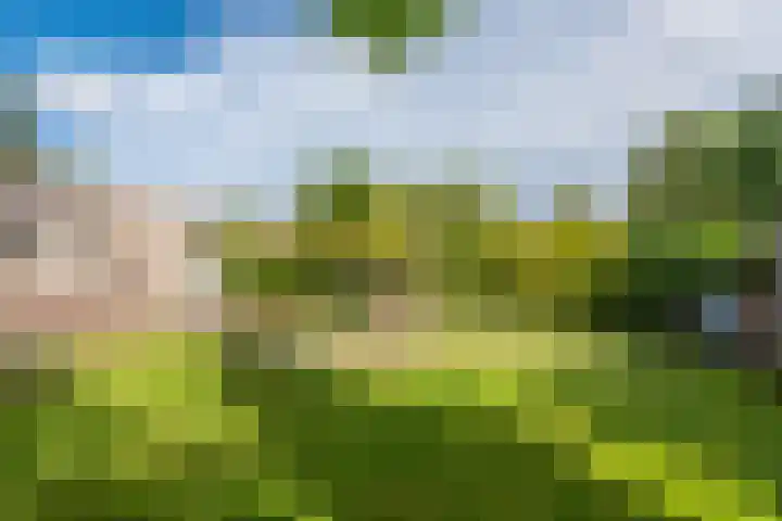 Verbindingsweg 14 Wieringerwerf thumbnail 27