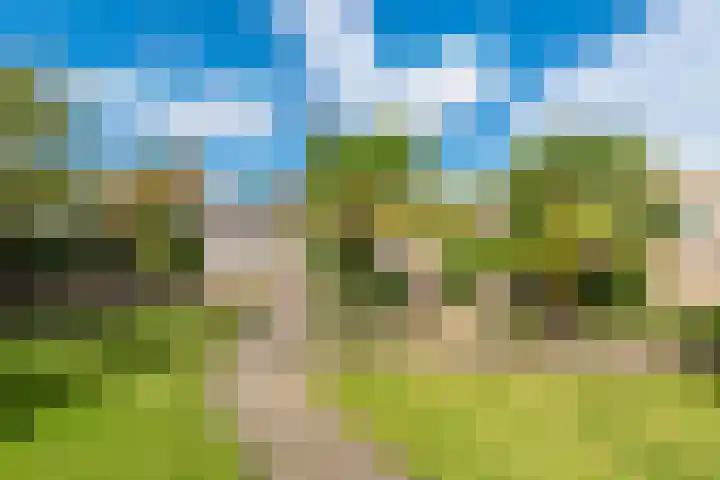Verbindingsweg 14 Wieringerwerf thumbnail 29