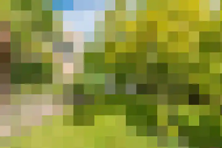 Verbindingsweg 14 Wieringerwerf thumbnail 30