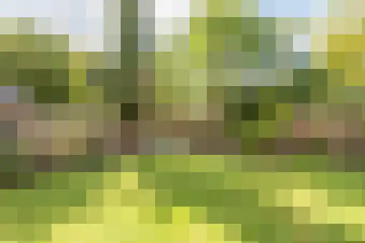 Verbindingsweg 14 Wieringerwerf thumbnail 31
