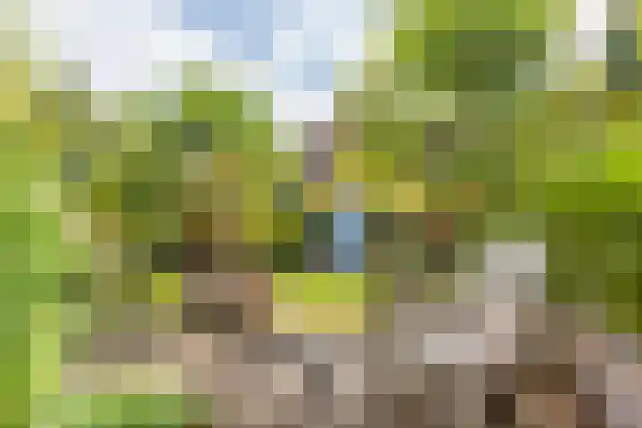 Verbindingsweg 14 Wieringerwerf thumbnail 33