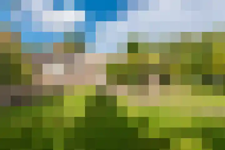Verbindingsweg 14 Wieringerwerf thumbnail 6