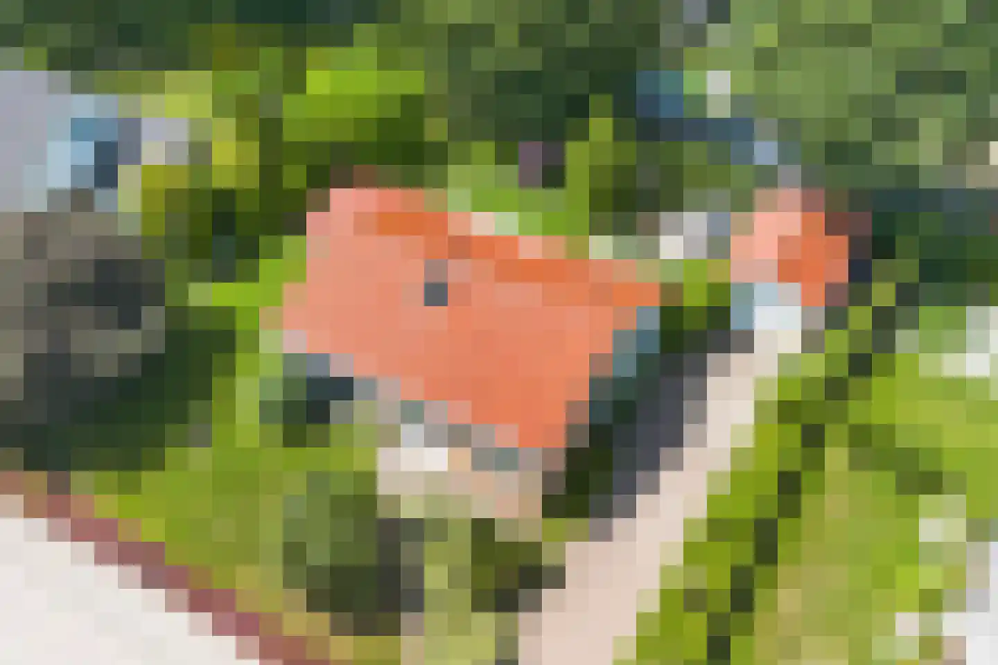 Verbindingsweg 15 Wieringerwerf