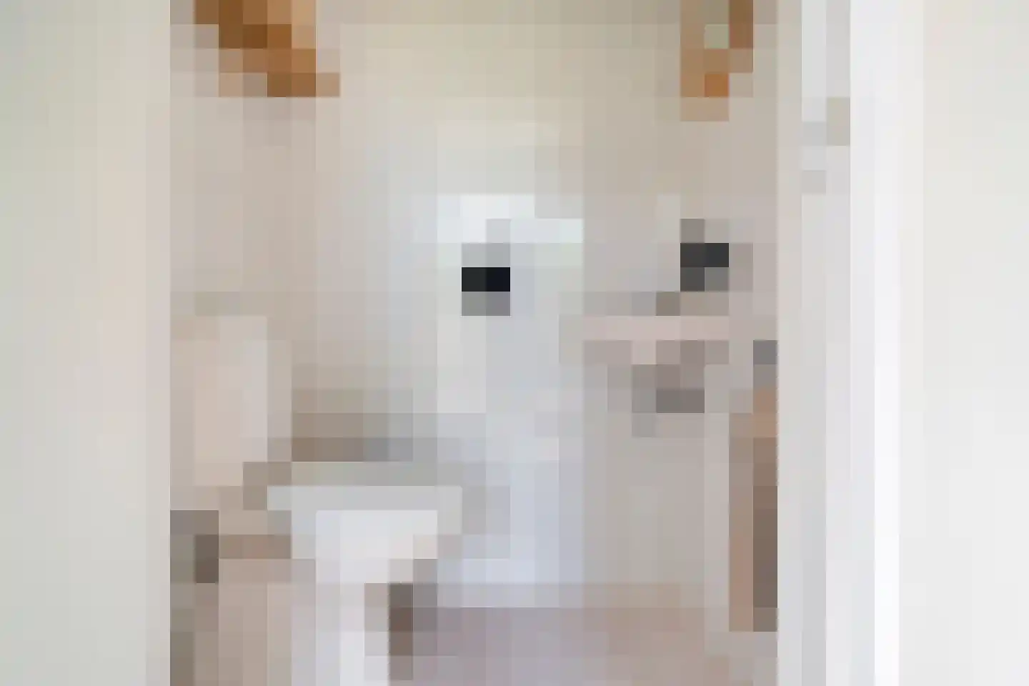 Verbindingsweg 15 Wieringerwerf thumbnail 10