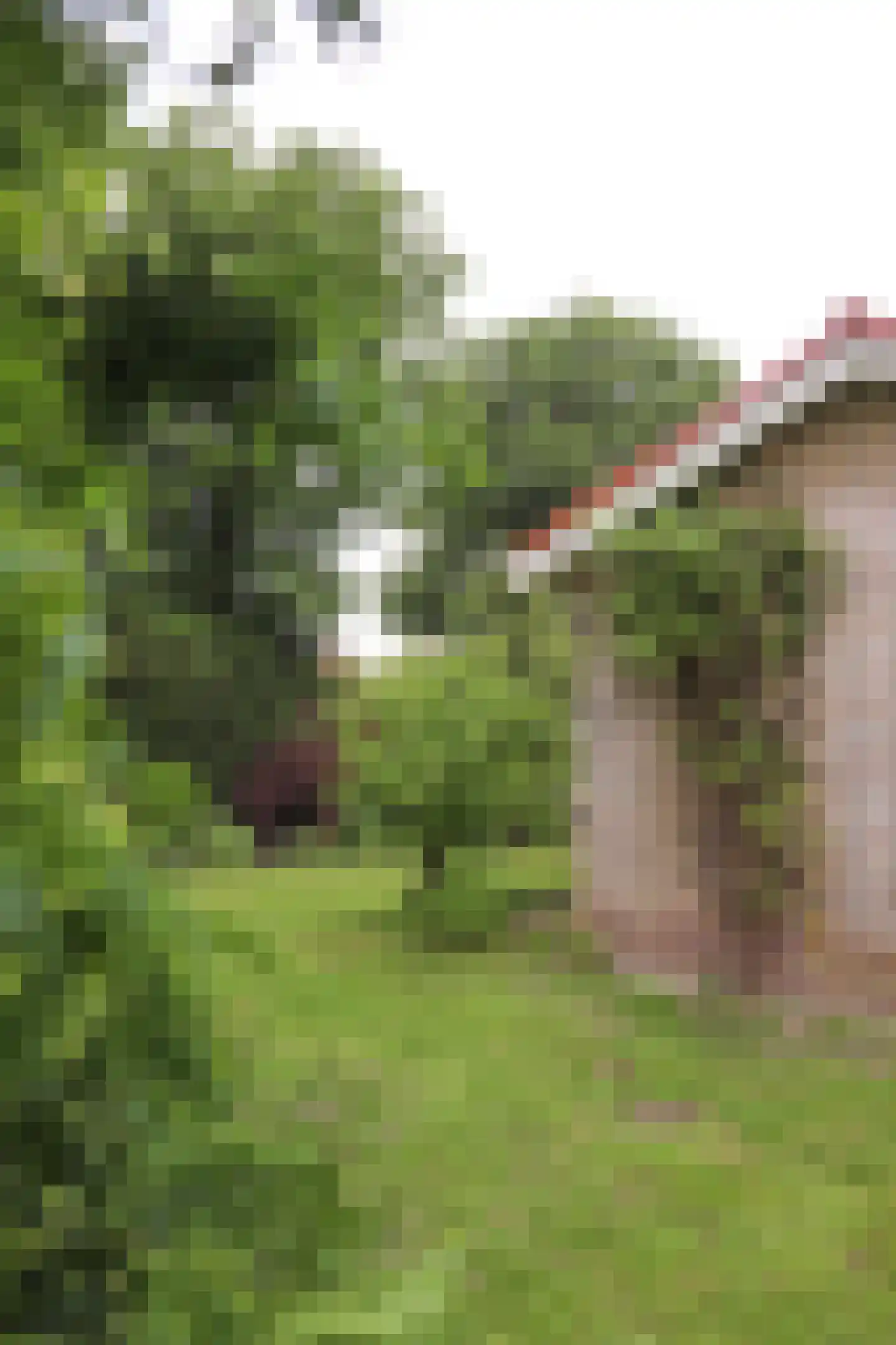Verbindingsweg 15 Wieringerwerf thumbnail 33