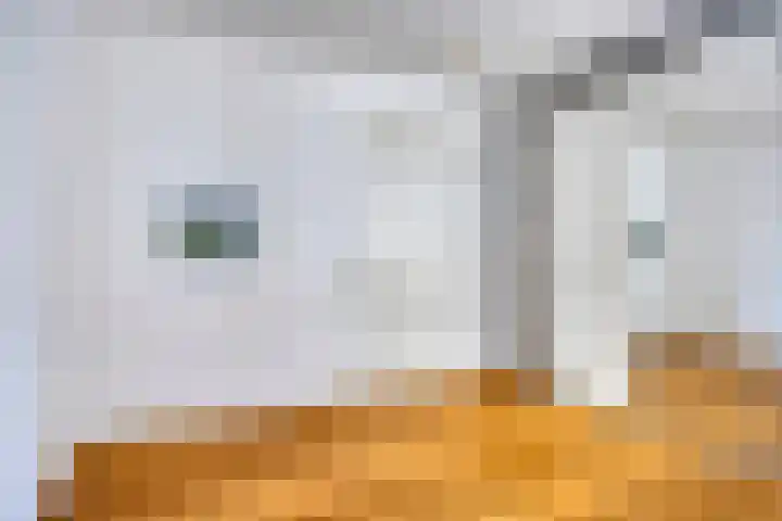 Verbindingsweg 17 Heerde thumbnail 16