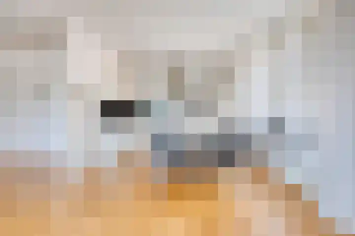 Verbindingsweg 17 Heerde thumbnail 7