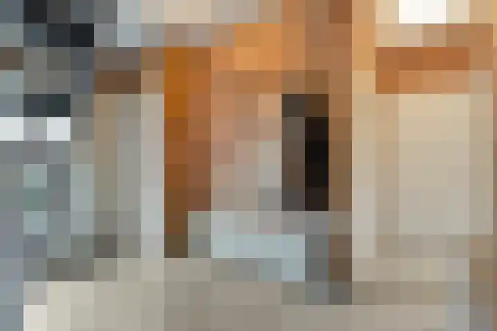 Verbindingsweg 2 Dalen thumbnail 12