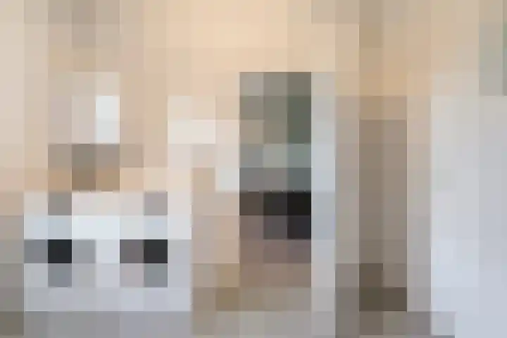 Verbindingsweg 2 Dalen thumbnail 26
