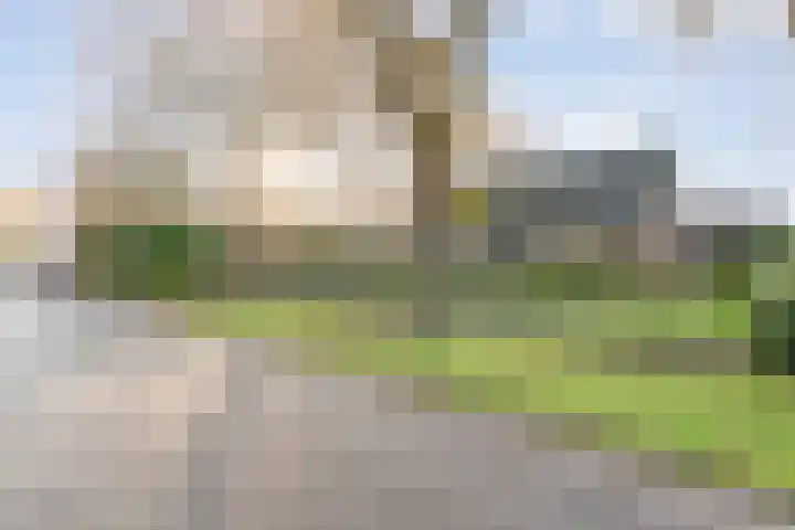 Verbindingsweg 2 Dalen foto 3