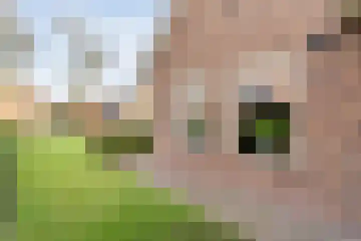 Verbindingsweg 2 Dalen thumbnail 38