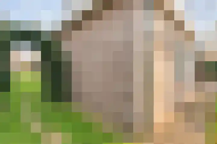 Verbindingsweg 2 Dalen thumbnail 44