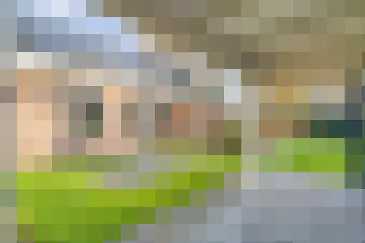 Verbindingsweg 2 Dalen thumbnail 46