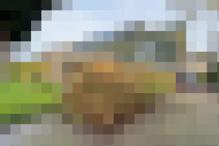 Verbindingsweg 2 Dalen thumbnail 51