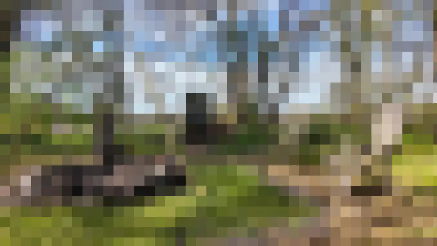 Verbindingsweg 2 Drouwenerveen thumbnail 10