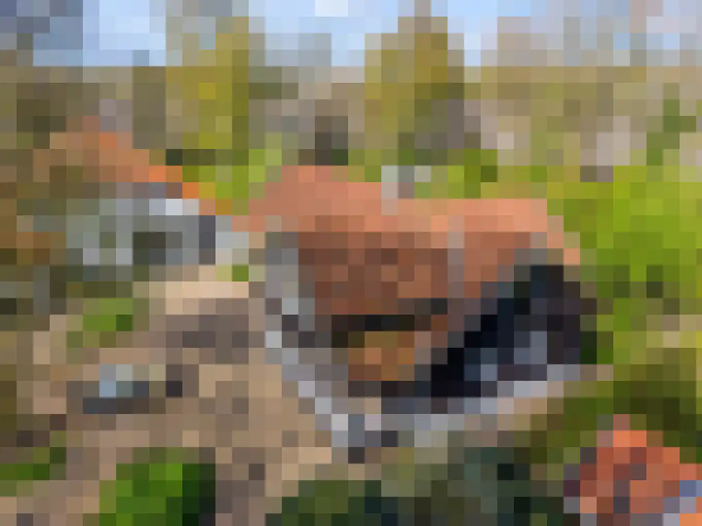 Verbindingsweg 2 Drouwenerveen thumbnail 4
