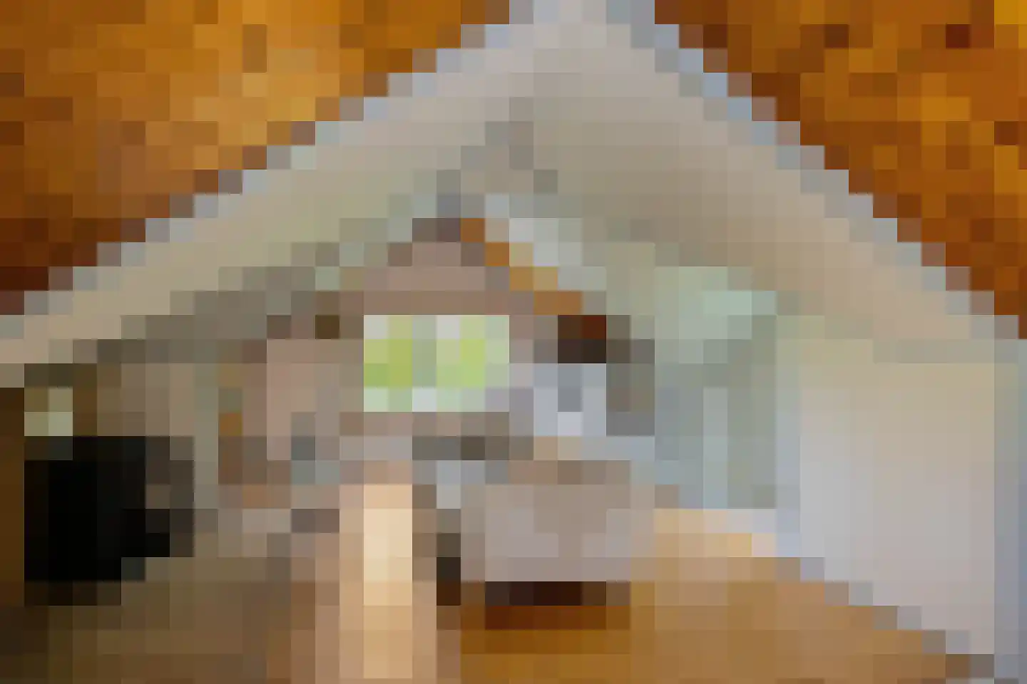 Verbindingsweg 2 Drouwenerveen thumbnail 43