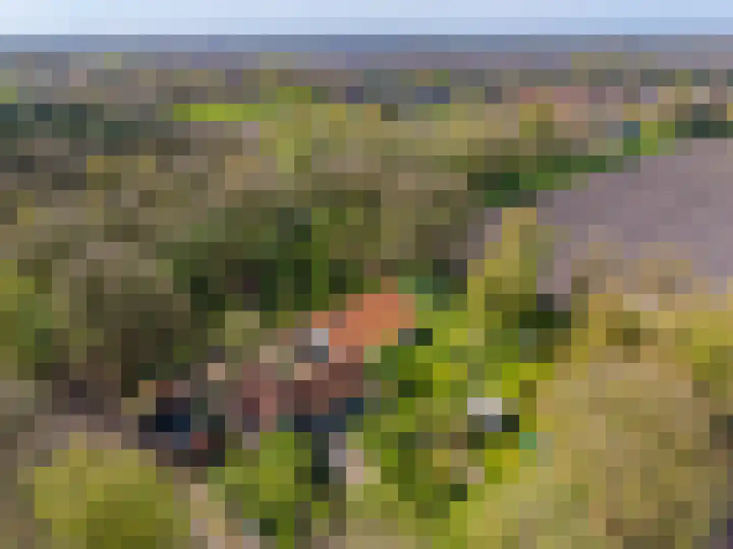 Verbindingsweg 2 Drouwenerveen thumbnail 8