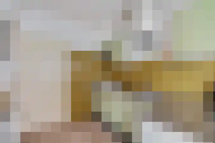 Verbindingsweg 20 Elst Ut thumbnail 10
