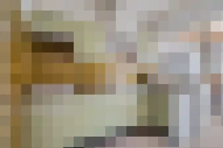 Verbindingsweg 20 Elst Ut thumbnail 11