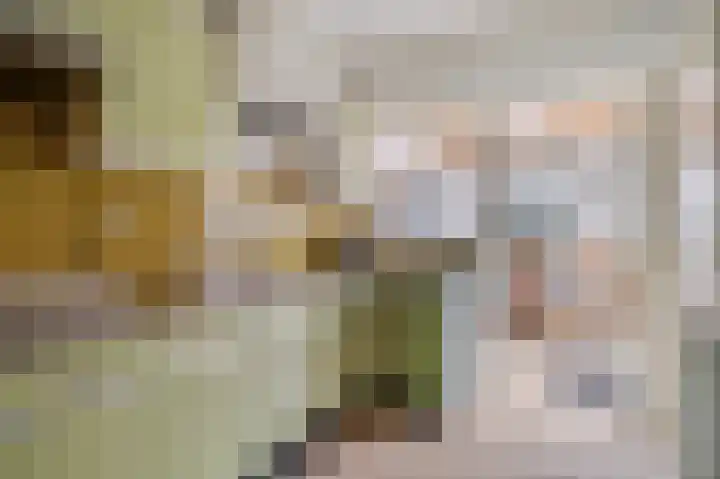 Verbindingsweg 20 Elst Ut thumbnail 12