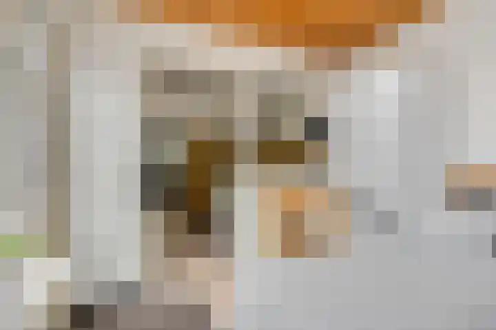 Verbindingsweg 20 Elst Ut thumbnail 13