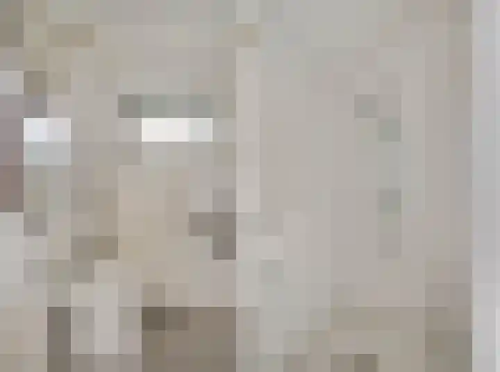Verbindingsweg 20 Elst Ut thumbnail 21