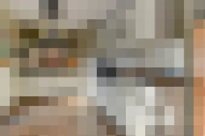 Verbindingsweg 22 Wieringerwerf foto 3
