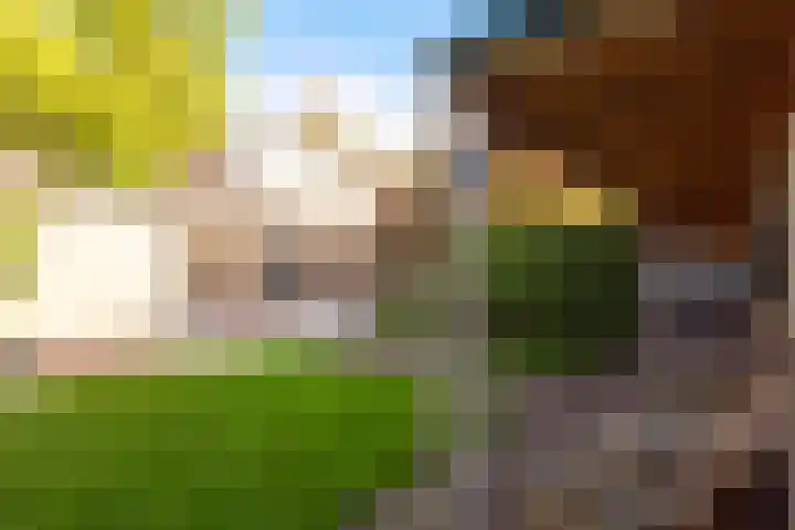 Verbindingsweg 22 Wieringerwerf thumbnail 41