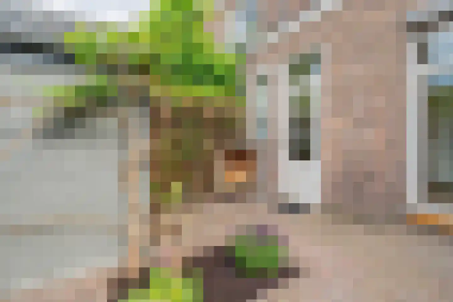 Verbindingsweg 23 Bloemendaal thumbnail 15