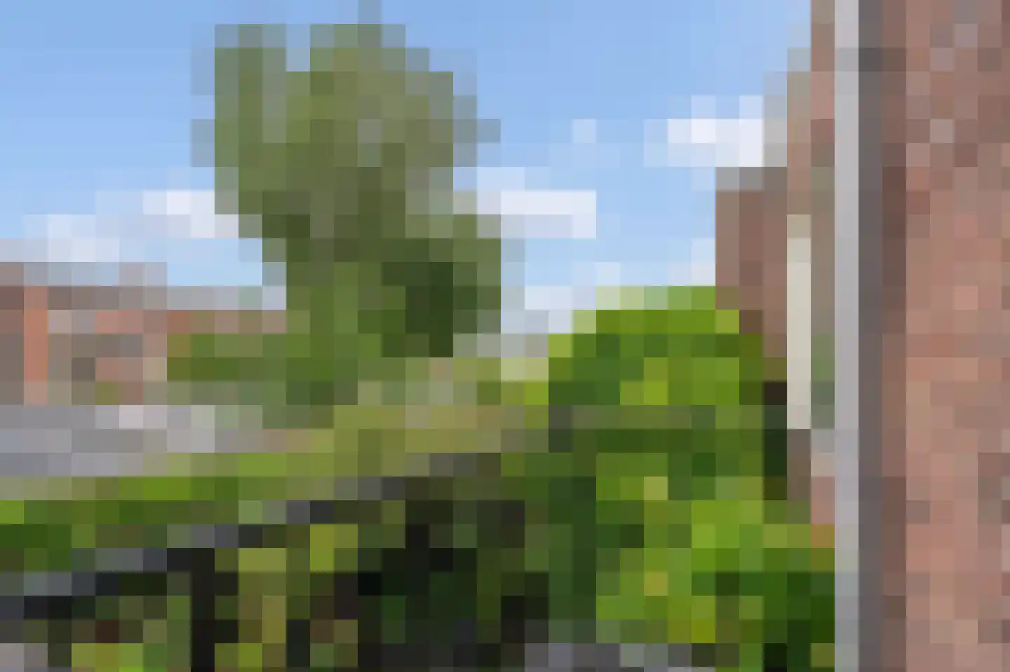 Verbindingsweg 23 Bloemendaal thumbnail 29