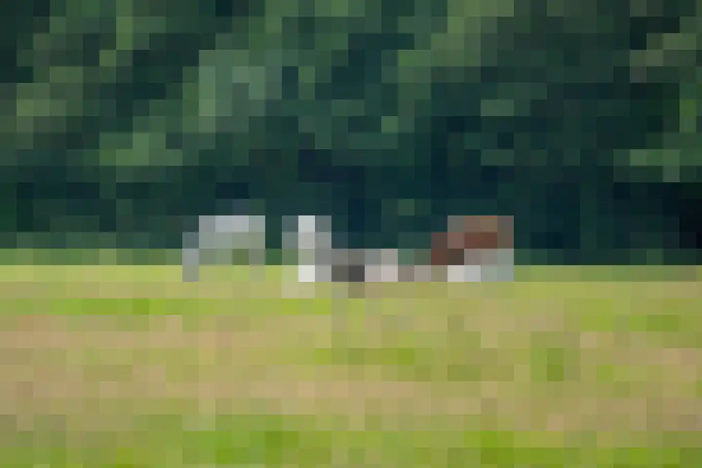 Verbindingsweg 23 Bloemendaal thumbnail 52