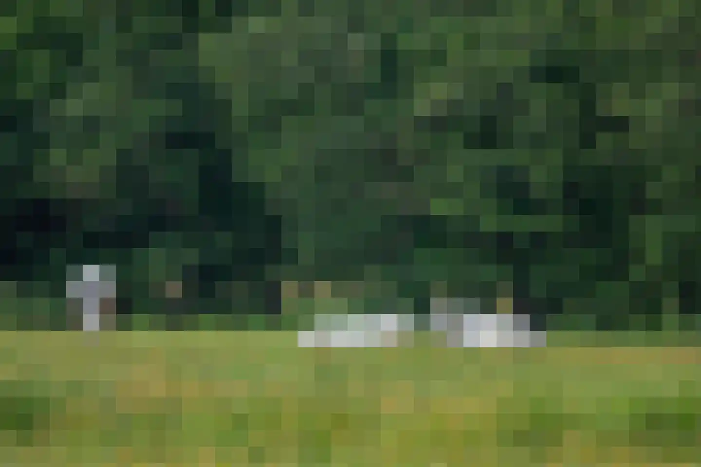 Verbindingsweg 23 Bloemendaal thumbnail 53