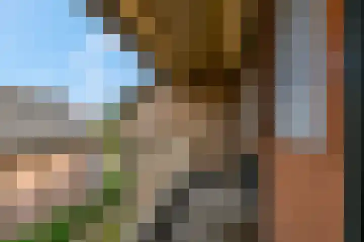 Verbindingsweg 23 Elst Ut thumbnail 15