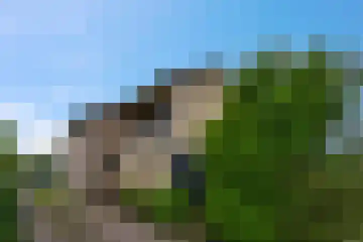 Verbindingsweg 23 Elst Ut thumbnail 17