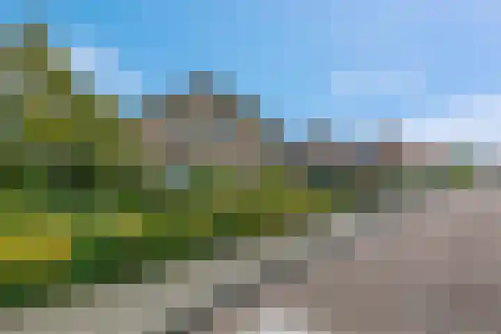 Verbindingsweg 23 Elst Ut thumbnail 18