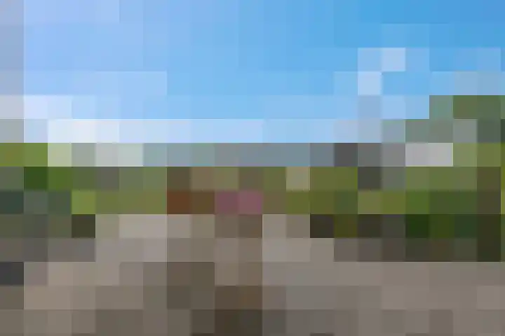 Verbindingsweg 23 Elst Ut thumbnail 22