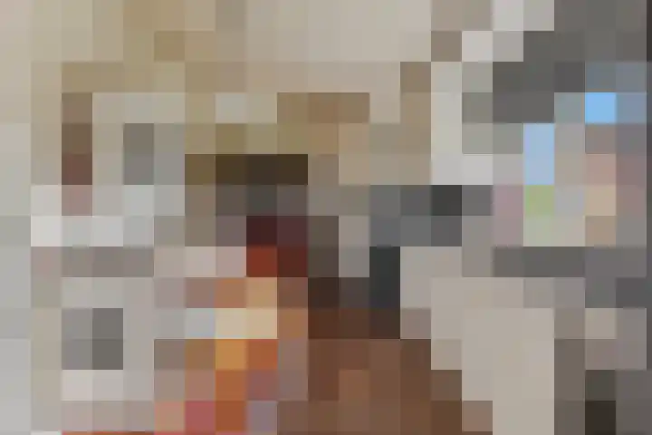 Verbindingsweg 23 Elst Ut thumbnail 9